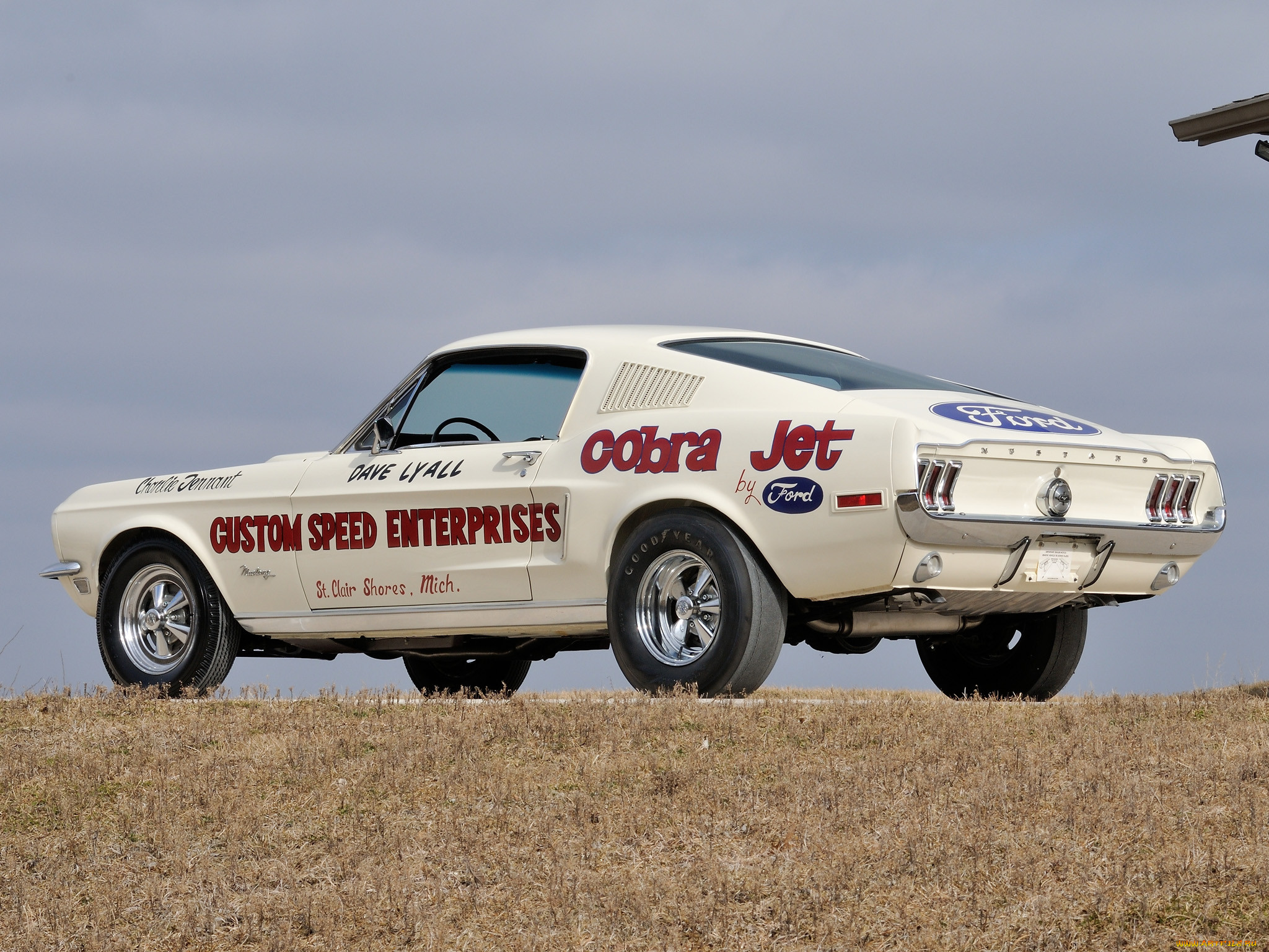 , mustang